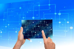 华体会登录地址-中国篮球青训体系教练员能力评估与发展规划，篮球教练员素养