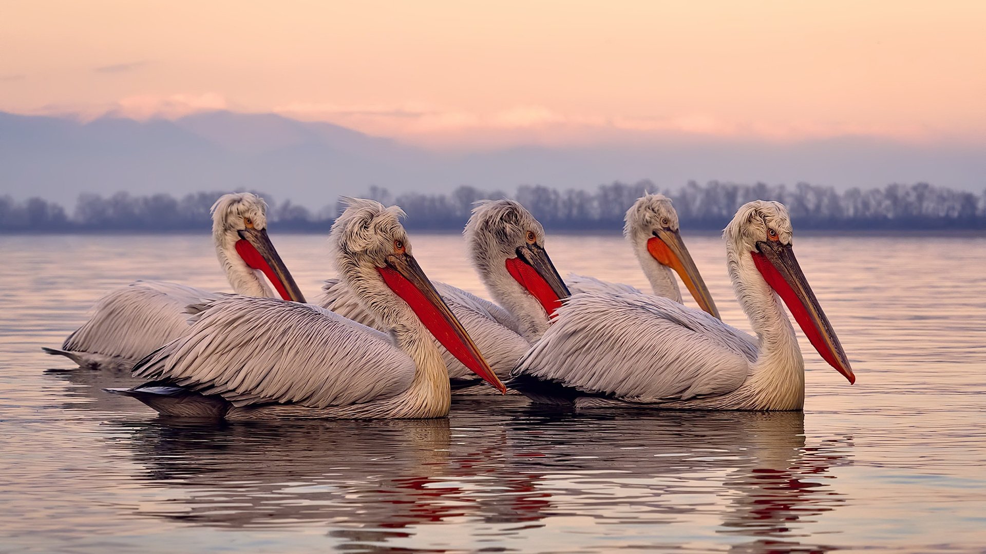 全国青少年极限运动大赛在南京火热开赛,全国青少年锦标赛