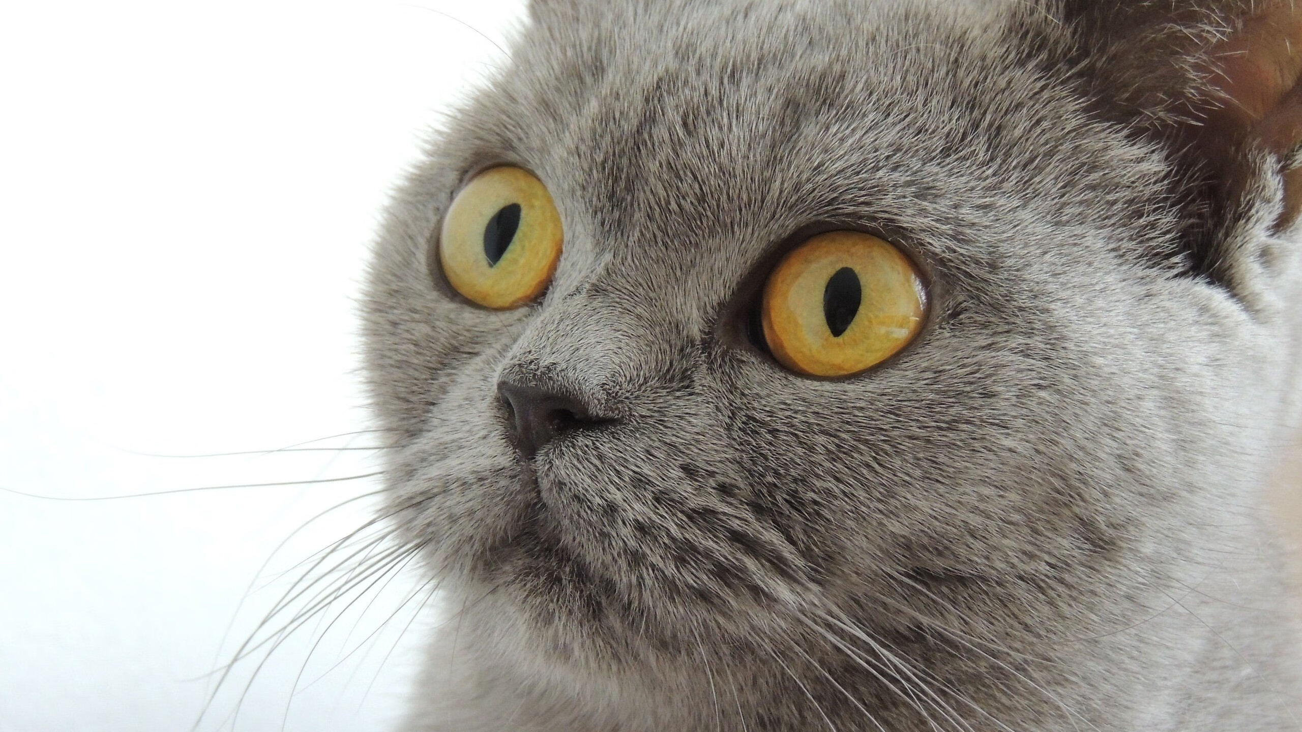 中超是否考虑为球员设立职业后发展基金，中超球员选拔