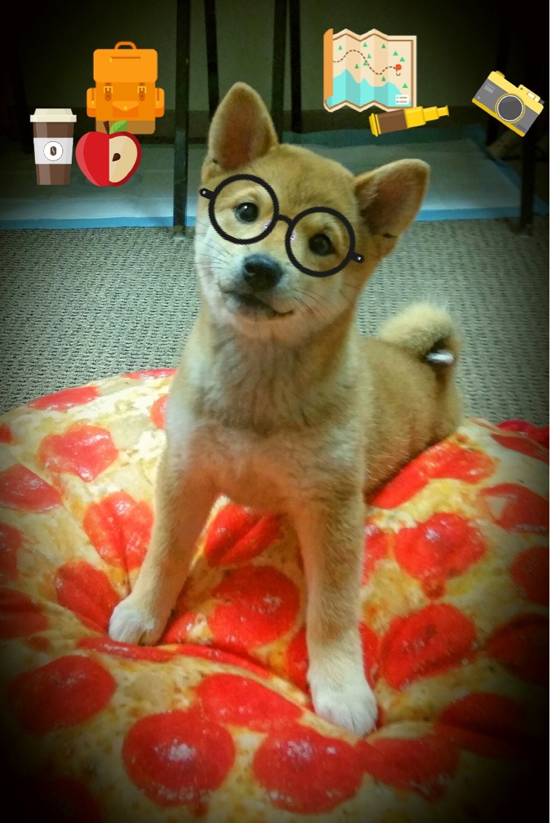 华体会登录入口-切尔西战术解析：稳固防守与快速反击，切尔西进攻